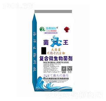 ��(f��)��΢�������-����-ס�̇��H