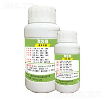 �ۺ���-�G�̿�-�x����