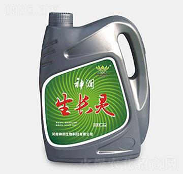 ���L(zh��ng)�`-��(r��n)����