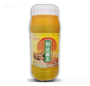 ������������-���_(d��)����