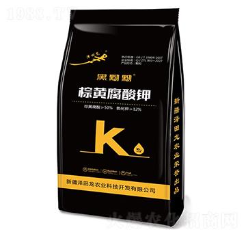 ���S�����-������-�������r�I(y��)