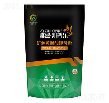 �VԴ�S�����ĸ��-�Ŵ�����