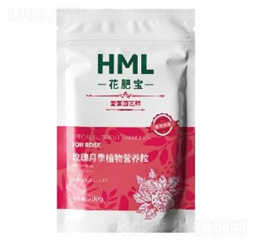 õ���¼���ֲ��I(y��ng)�B(y��ng)��-���ʌ�-�S���X