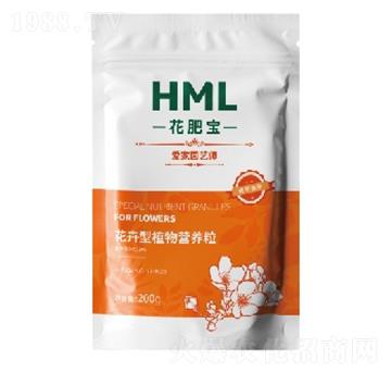 ������ֲ��I(y��ng)�B(y��ng)��-���ʌ�-�S���X