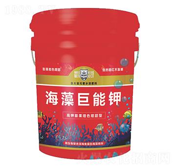 ��������-������r