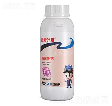 �����ǡ��}-�W���~��-