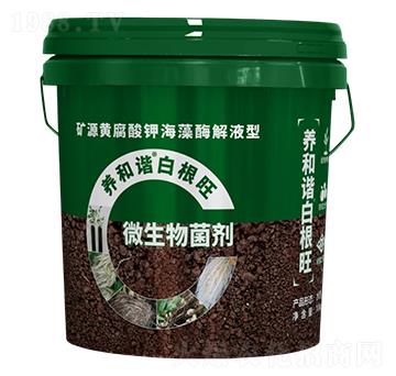 �VԴ�S����⛺���ø��Һ��΢�������-�B(y��ng)���C�׸���-�V��ͨ