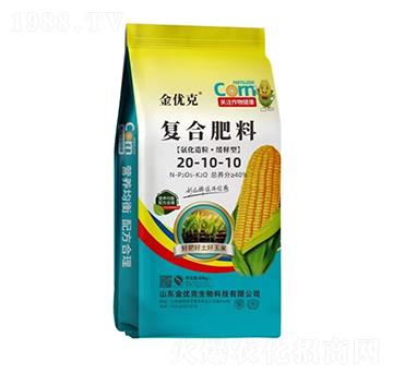 ��������������͏�(f��)�Ϸ���20-10-10-����(y��u)��