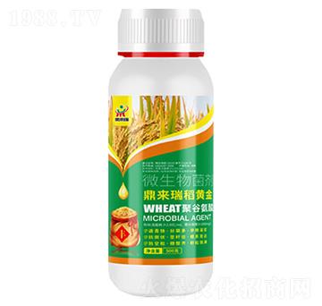 �������S��-΢�����