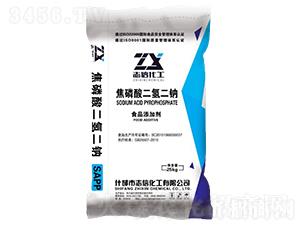 �����������cSAPP-��(chu��ng)��(li��n)�S