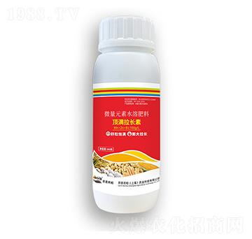 픝M���L��-�ڶ����