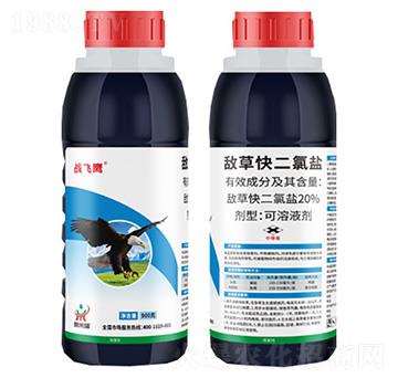 20%���ݿ�����}-��(zh��n)�w��-������