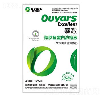 �������L(zh��ng)�����w��-̩��-�W��˹