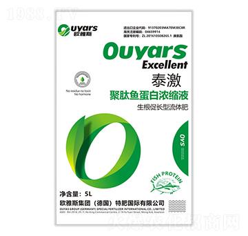 �������L(zh��ng)�����w�ʣ�5L��-̩��-�W��˹