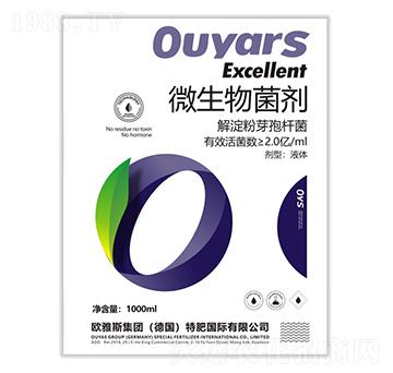 �����ѿ�ߗU��-�W��˹