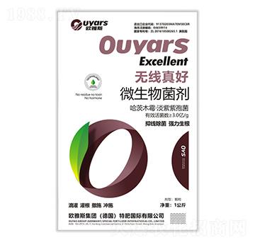 �o(w��)�����΢�������-�W��˹