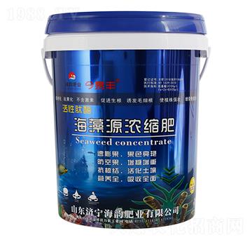 ������ø����Դ��s��-�����S-�������