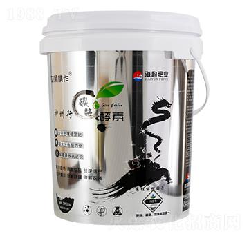 ������̼ø����-�������