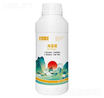 ������1000g-�r(n��ng)�˷�