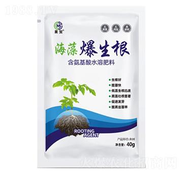 海藻爆生根-含氨基酸水溶肥料-果茂生物
