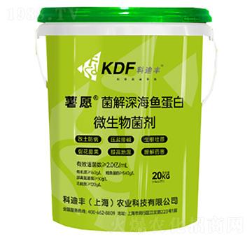 ������~����΢�������-��Ը-�Ƶ��S