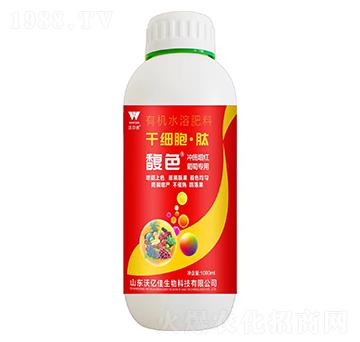 �ɼ�������-�ɫ-�֠���(y��u)