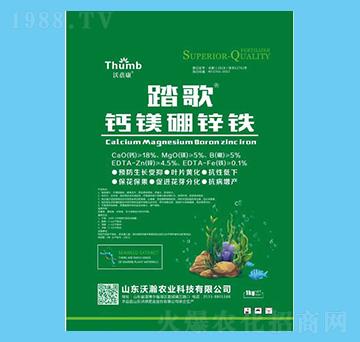 ̤�衤�}�V���\�F-������-����r�I(y��)