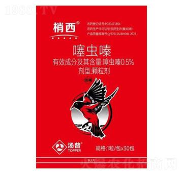 0.5%���x��w����-����-���՘�