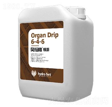 ؐ�����Դ6-4-6-�������