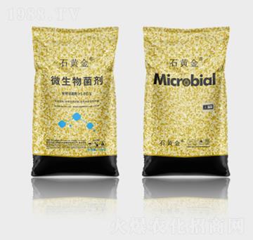 ʯ�S��΢�������