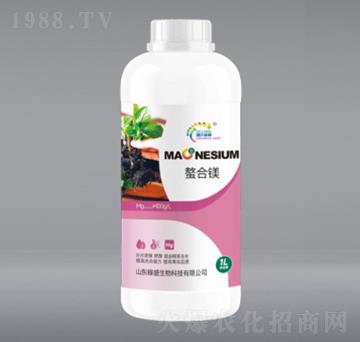 1L�����V-��ʢ����