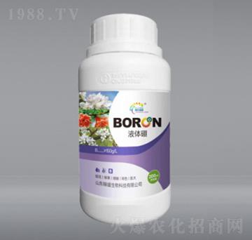 ���w��-��ʢ����