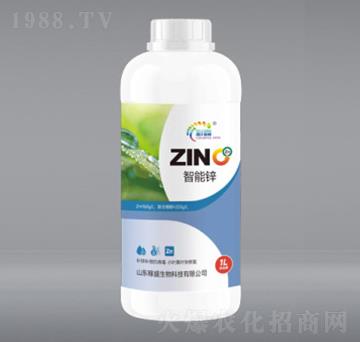 1L�����\-��ʢ����