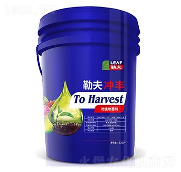 �շ�_�S�{Ͱ��-�շ�