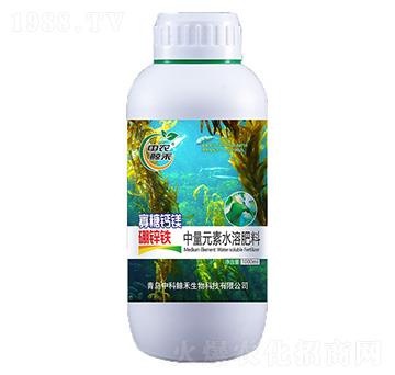 �����}�V���\�F-���r(n��ng)�L��