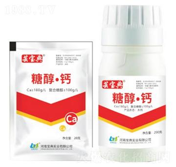 �Ǵ����}-�|����-���䌍(sh��)�I(y��)