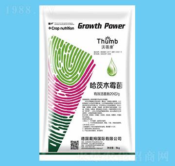 5kg����ľù��-������-����r(n��ng)�I(y��)
