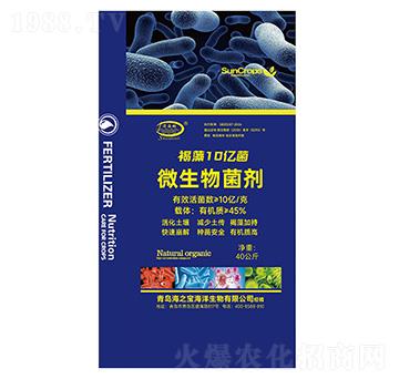 ΢�������-����10�|��-���(d��ng)-��֮��