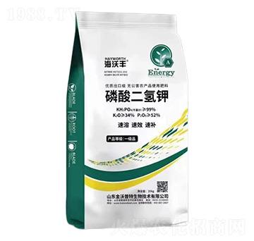 ��������-�����S-�����_����