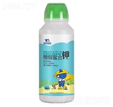 �Ǵ������-�{؈�ǻ�