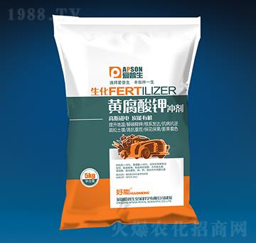 �S����⛛_��-��(��i)����