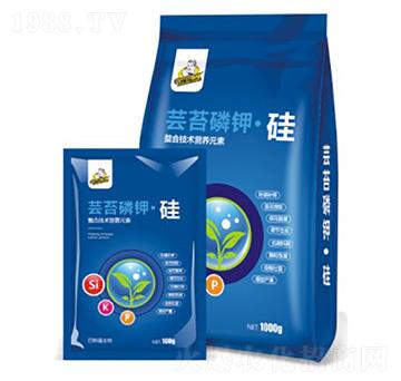 �|̦��⛹�-��˹��