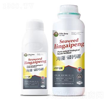 海藻·磷鈣硼-愛丁邦普