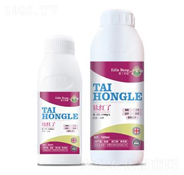 鈦紅了-愛丁邦普