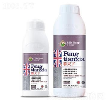 膨天下-愛丁邦普