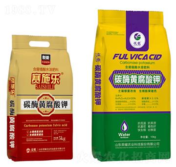 ̼ø�S�����-����-�sҫ�r�I(y��)