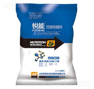 �����}�V�F���\-�sҫ�r�I(y��)