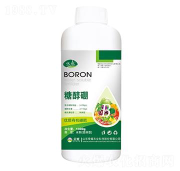 �Ǵ���-����-�sҫ�r�I(y��)