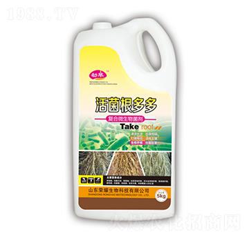 ��������-����-�sҫ�r�I(y��)