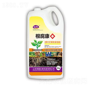 ������-����-�sҫ�r�I(y��)